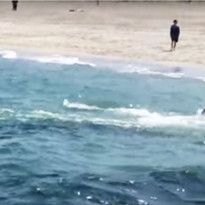 Early reports are that Dusty was humming Ludacris through his blowhole at the time.