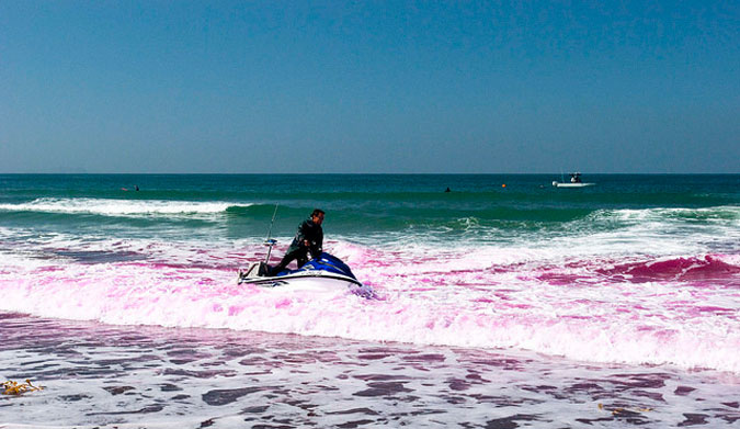 In the first of three tests, researchers released a bright pink dye into beach waters and track its movements along the coast. Image: Scripps Institution of Oceanography, UC San Diego