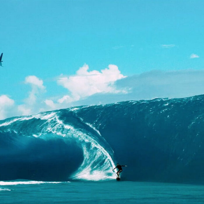 Bodhi and Johnny Utah have stepped up their game in the surfing department. Big time.
