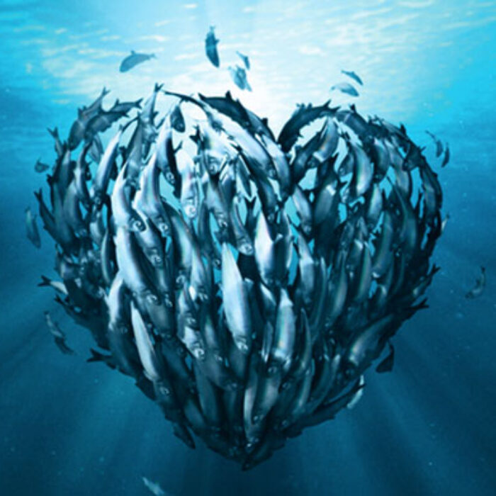 marine stewardship council