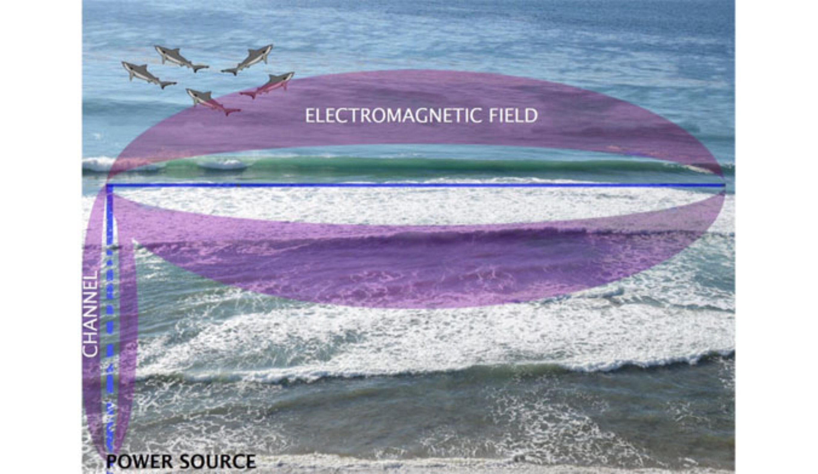Electro Shark Repellant