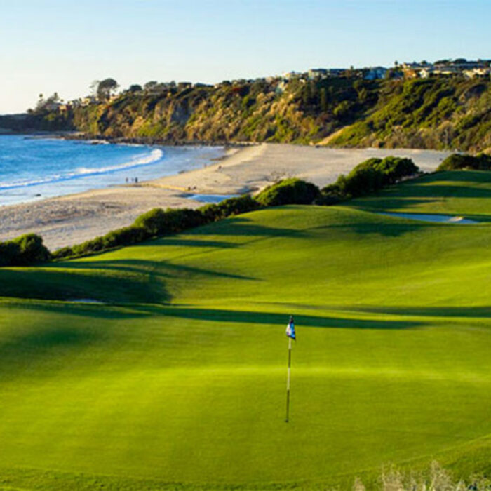 Surfers Love Golf