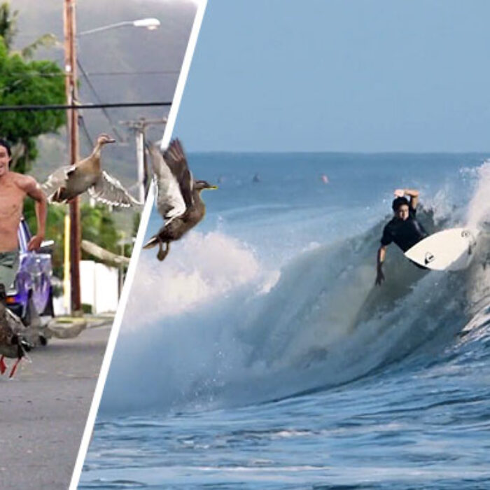 Going back to school can be tough, especially if you live in Hawaii and just had a summer like this past one.