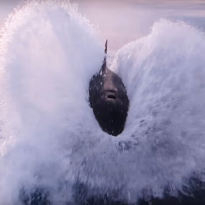 This pod of orcas decided to use their boat's wake as a jungle gym.