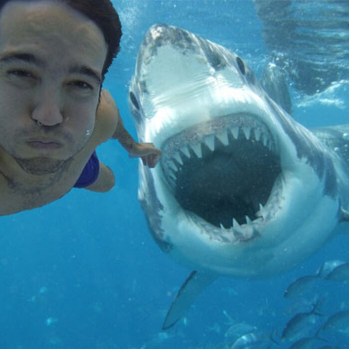 Nope, not real. But isn't this what we immediately picture when we think shark?