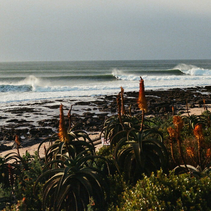 Derrick Disney J-Bay Field Trip