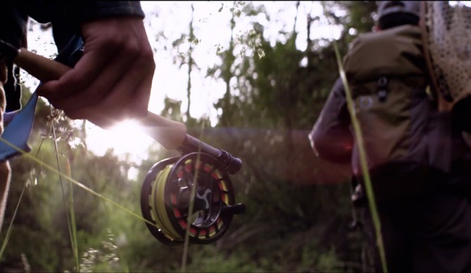 Screenshot: Nate Gunn