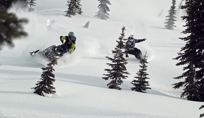 Screenshot: Brain Farm