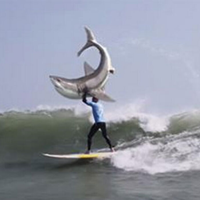 Mick Fanning KFC Shark Commercial