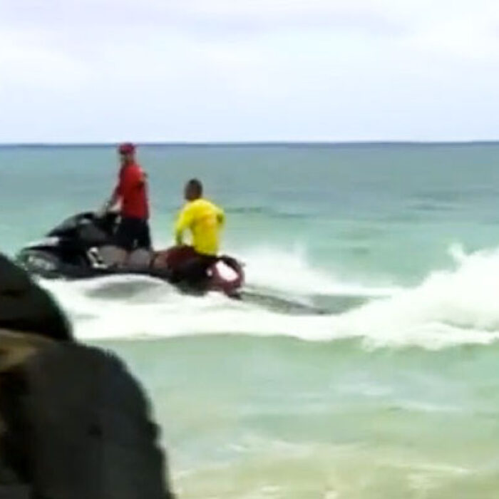 shark attacks