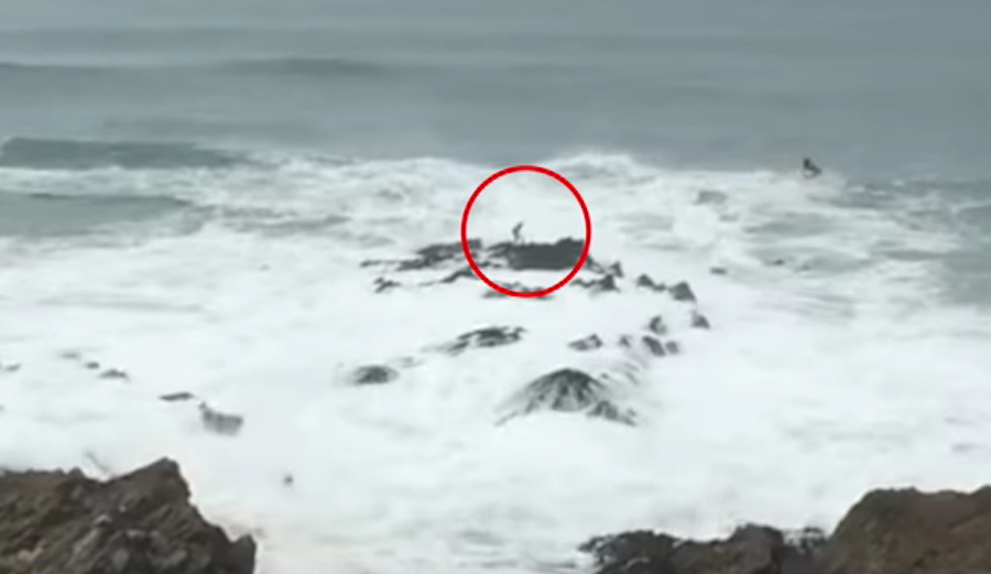 Wipe Out Rocks WATCH: Surfer Bounces off the Rocks After a Wipeout at U.K. Big Wave ...