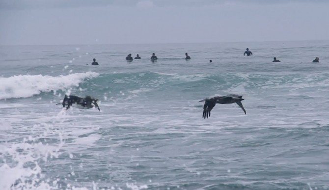 Screenshot: David Bertschinger Karg