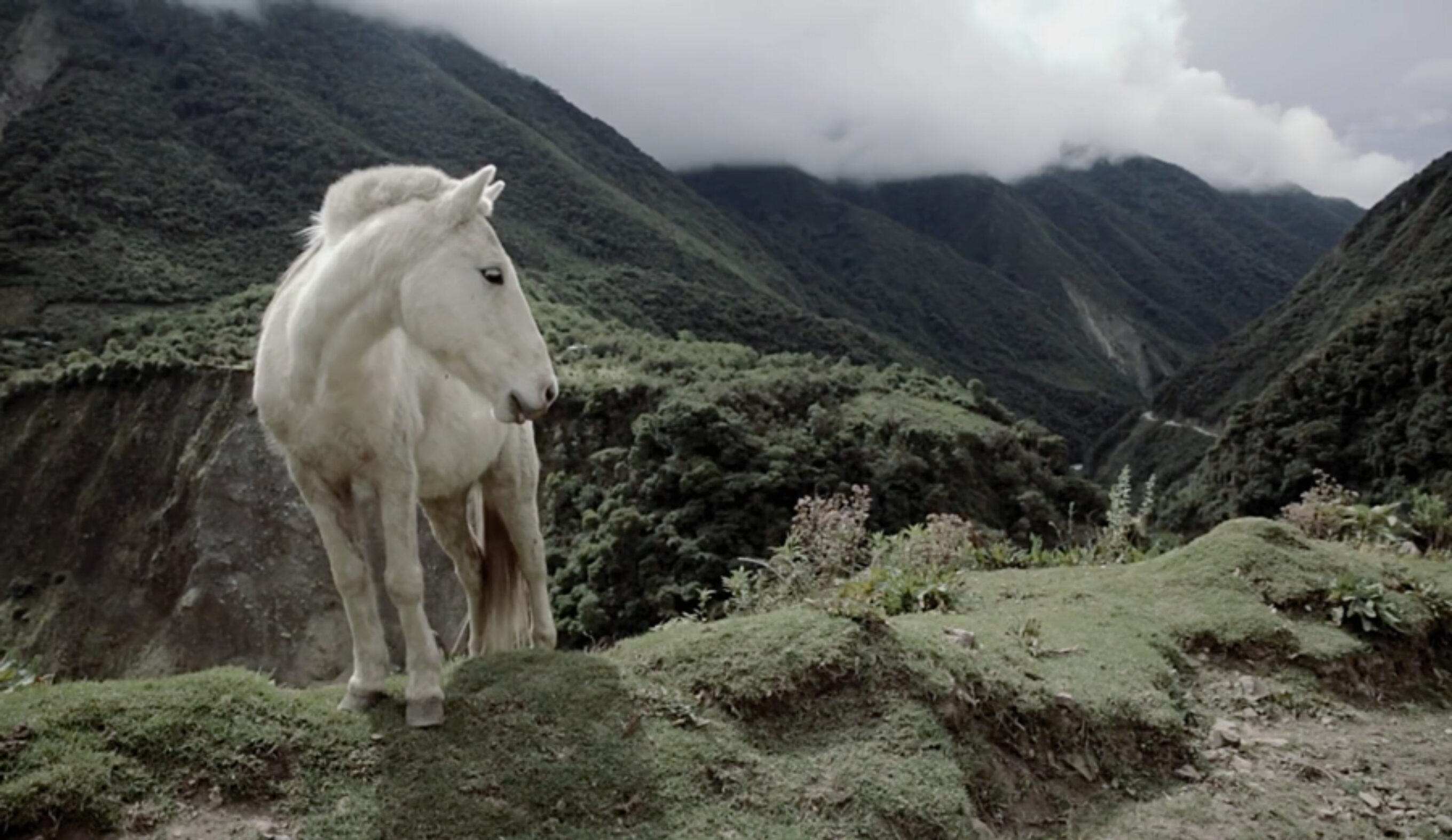 Screenshot: David Bertschinger Karg