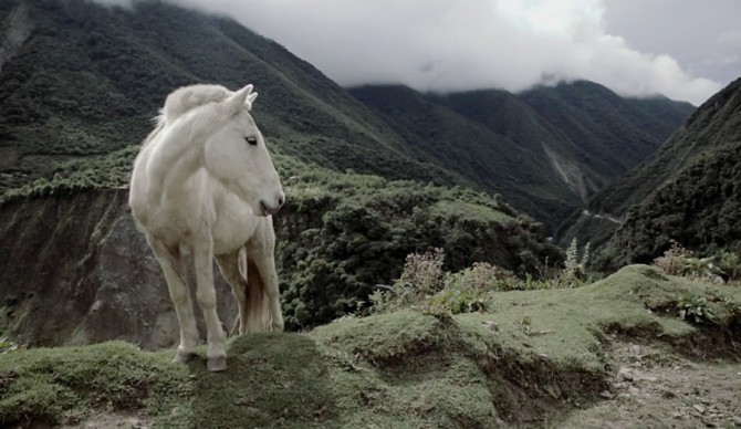 Screenshot: David Bertschinger Karg