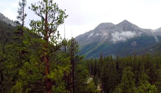 Screenshot: Wilderness Collective