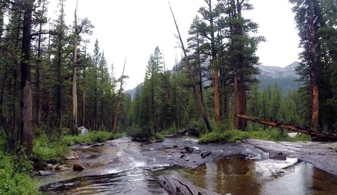 Screenshot: Wilderness Collective