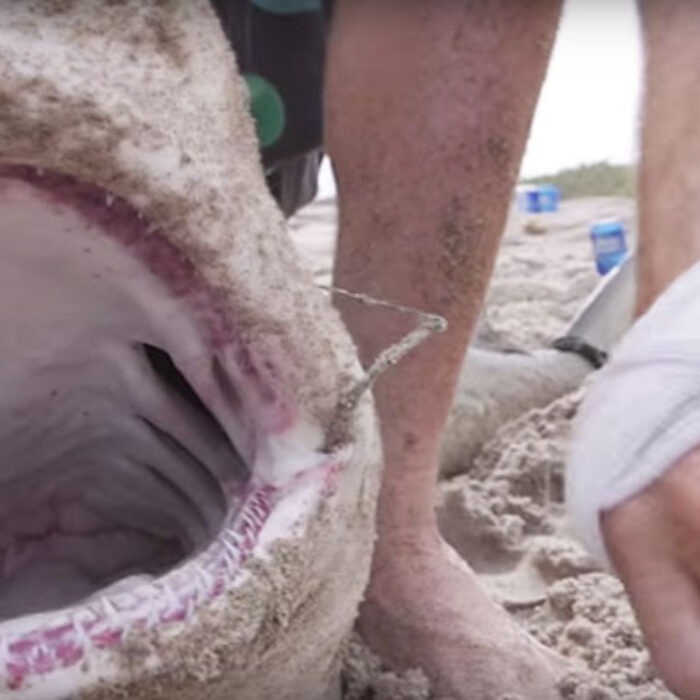The commercial fisherman ended up with 15 stitches and and a taste for revenge.