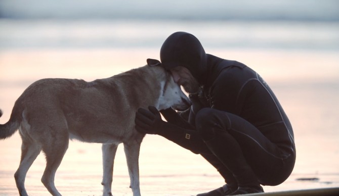 Screenshot: Felt Soul Media