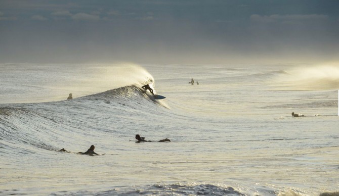 Photo: Andreea Waters 