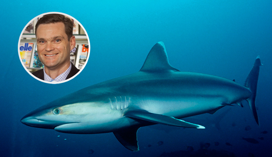 Dean Norburn has quite the surprise while surfing Tuesday at Bondi Beach.