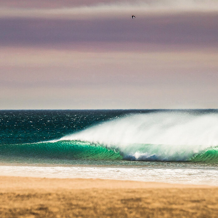 200 Best Photos of 2015
