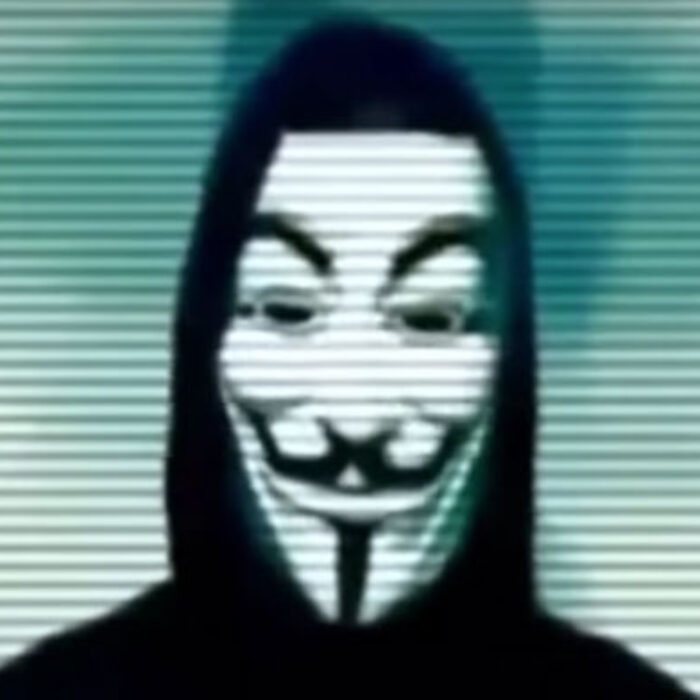 Anonymous, the group of activist hackers, has declared war on Iceland's whale hunts.