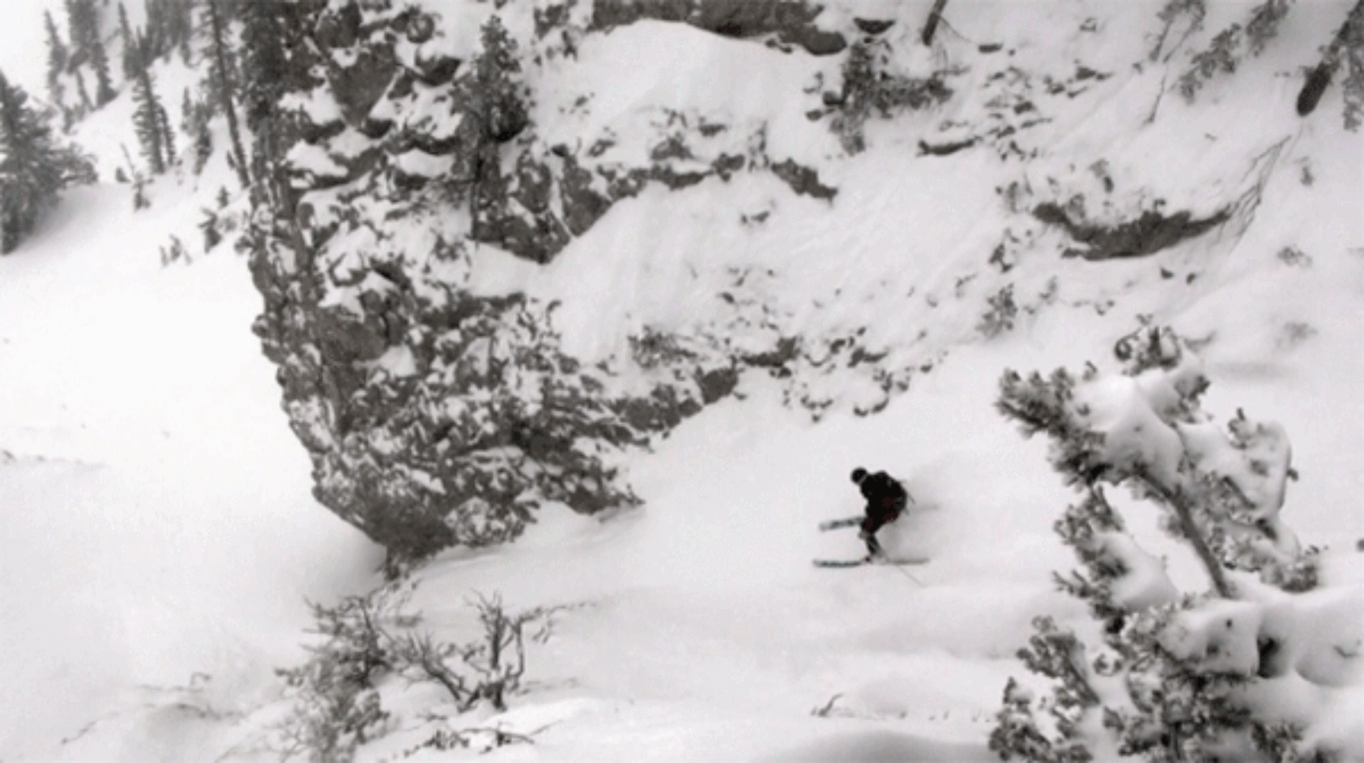 Photo: Bridger Bowl