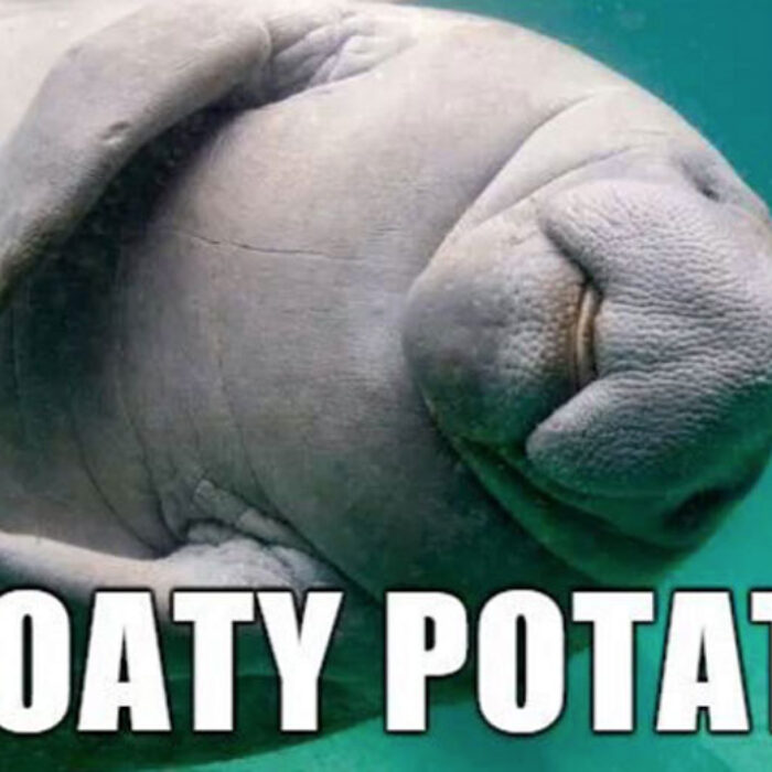Floaty potato