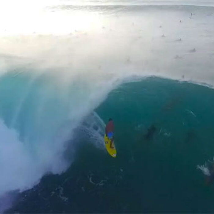 Pipeline Drone