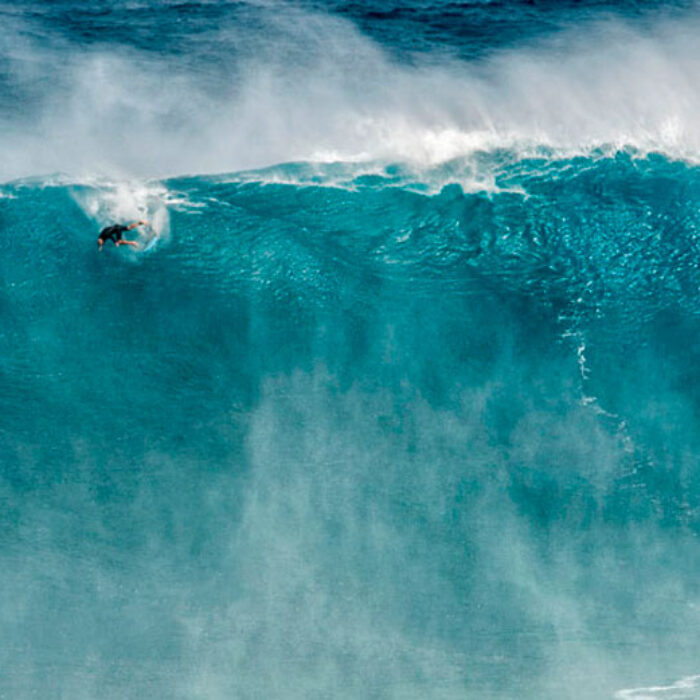 Jaws