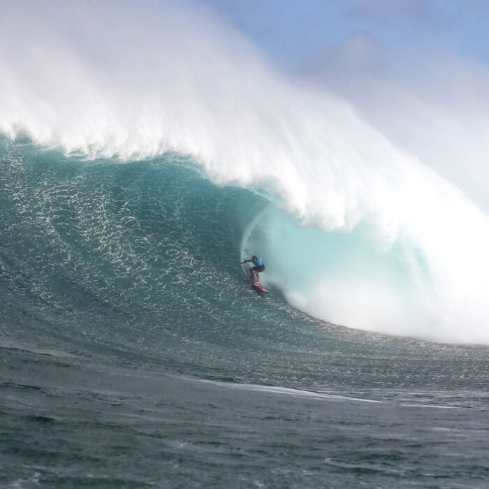 Greg Long, Jaws