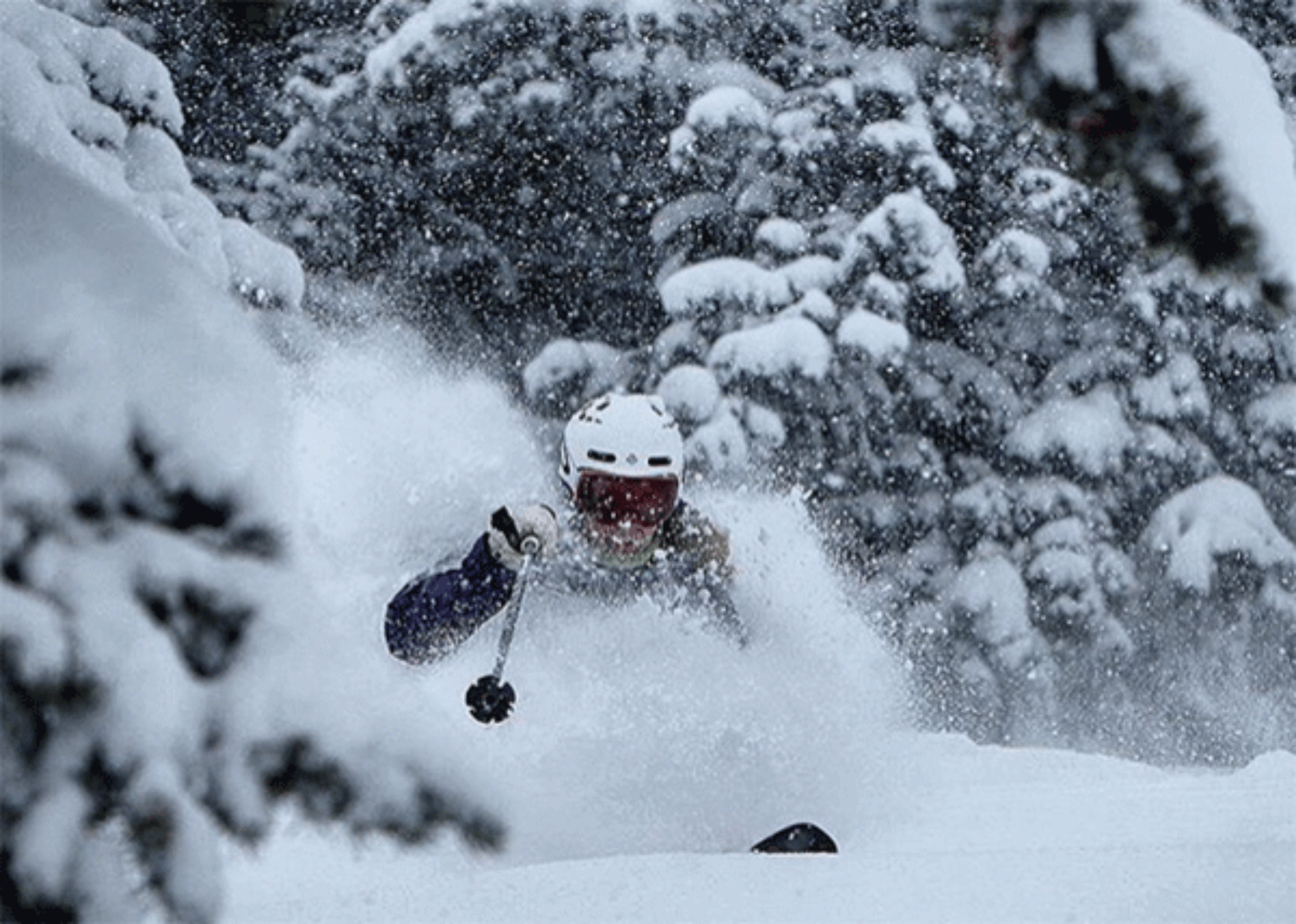 Photo: Ski Utah