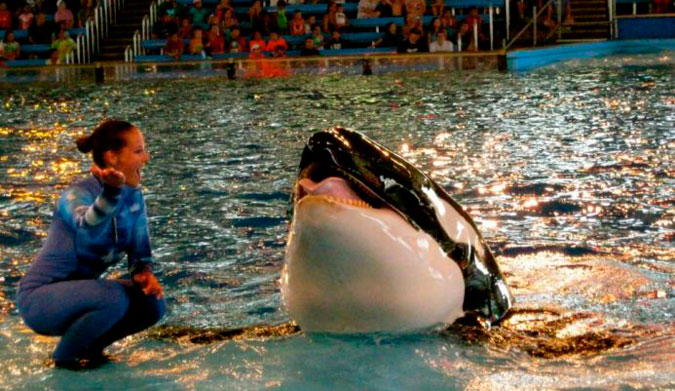 Unna in 2012. Photo: Jordantea/Flickr