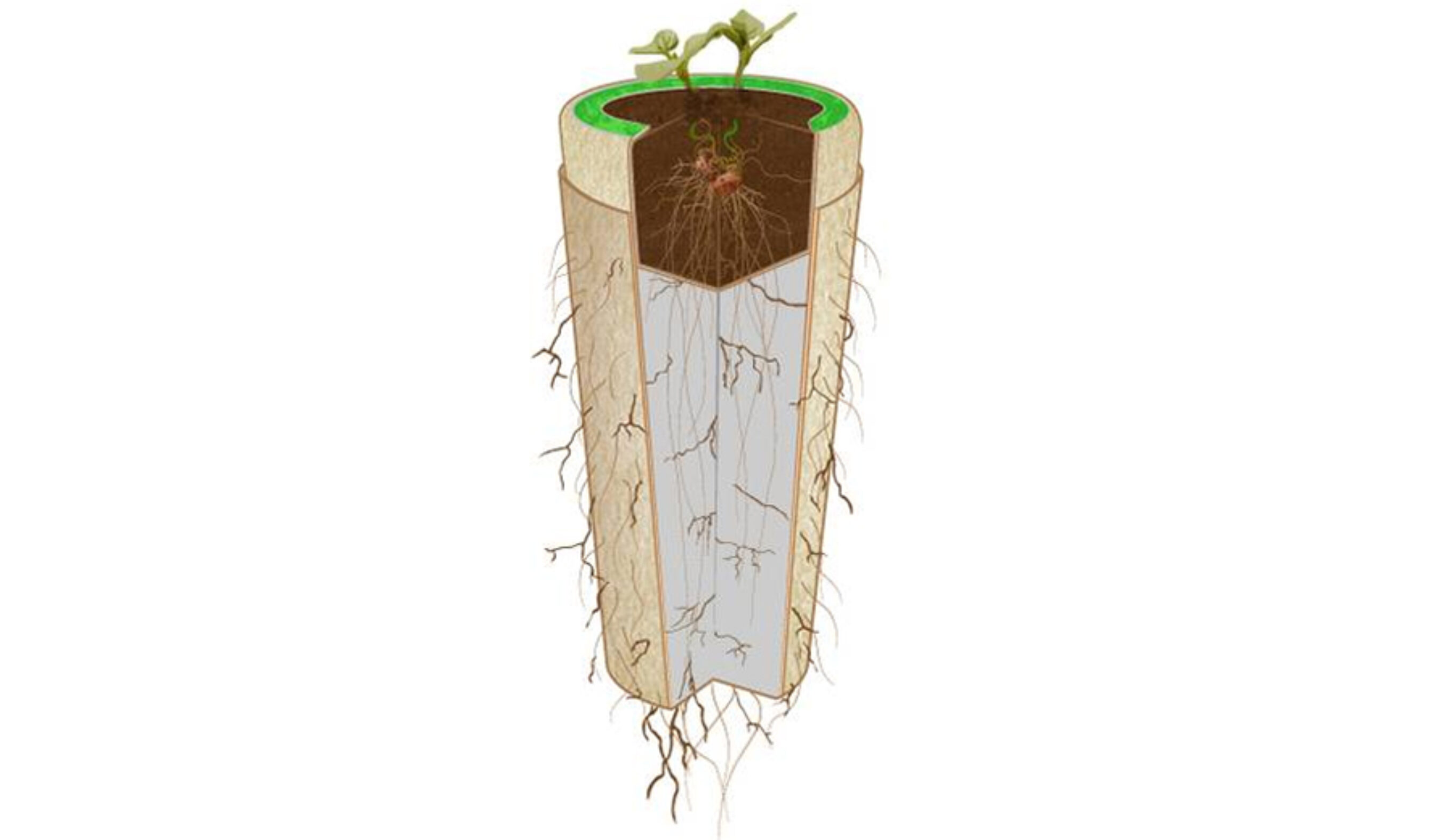 Looks legit. Still waiting for the biodegradable Ando-urn though.