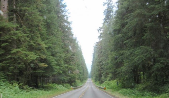 You never know where the path you choose will take you... that's the best part. Photo: Bob Cooney