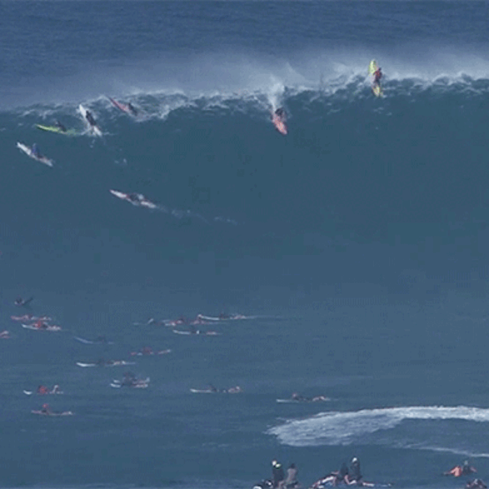 There is nowhere else in the world quite like Jaws.