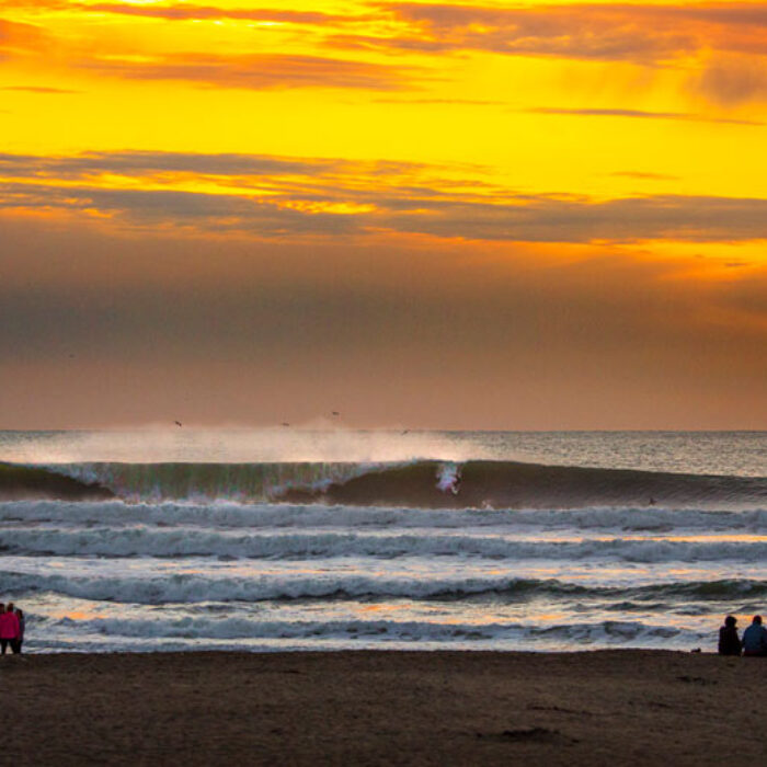 If the first day of 2016 is any indication, it looks like we're in for a good year.