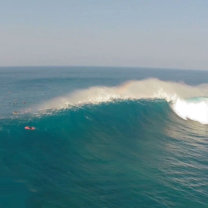 Jaws Drone