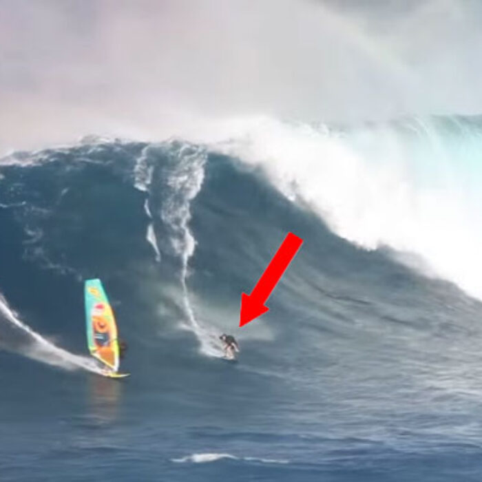 Brad Domke Jaws