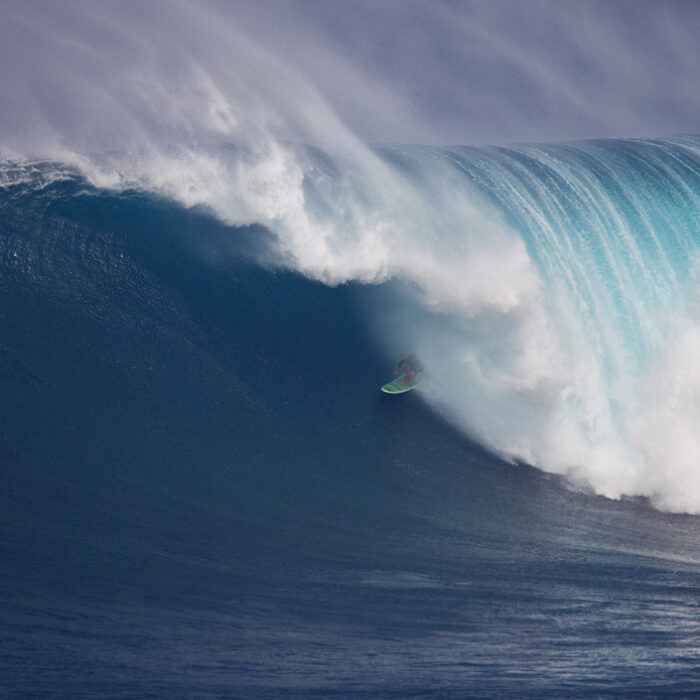 Jaws