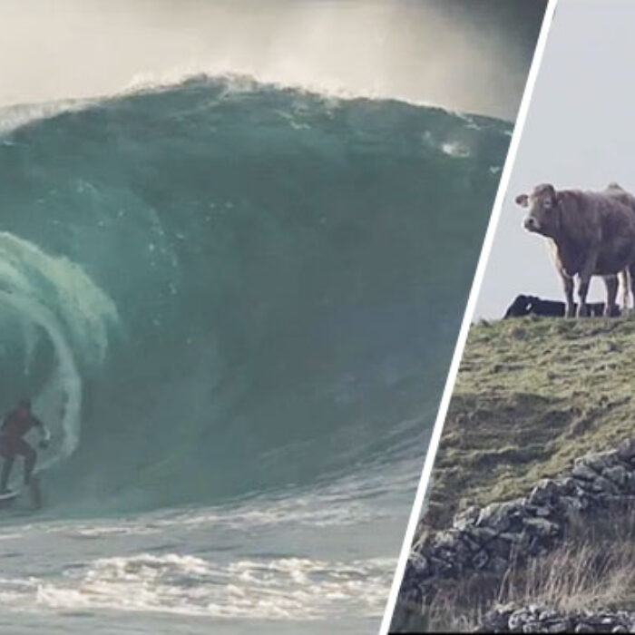 A big part of surfing isn't actually surfing.