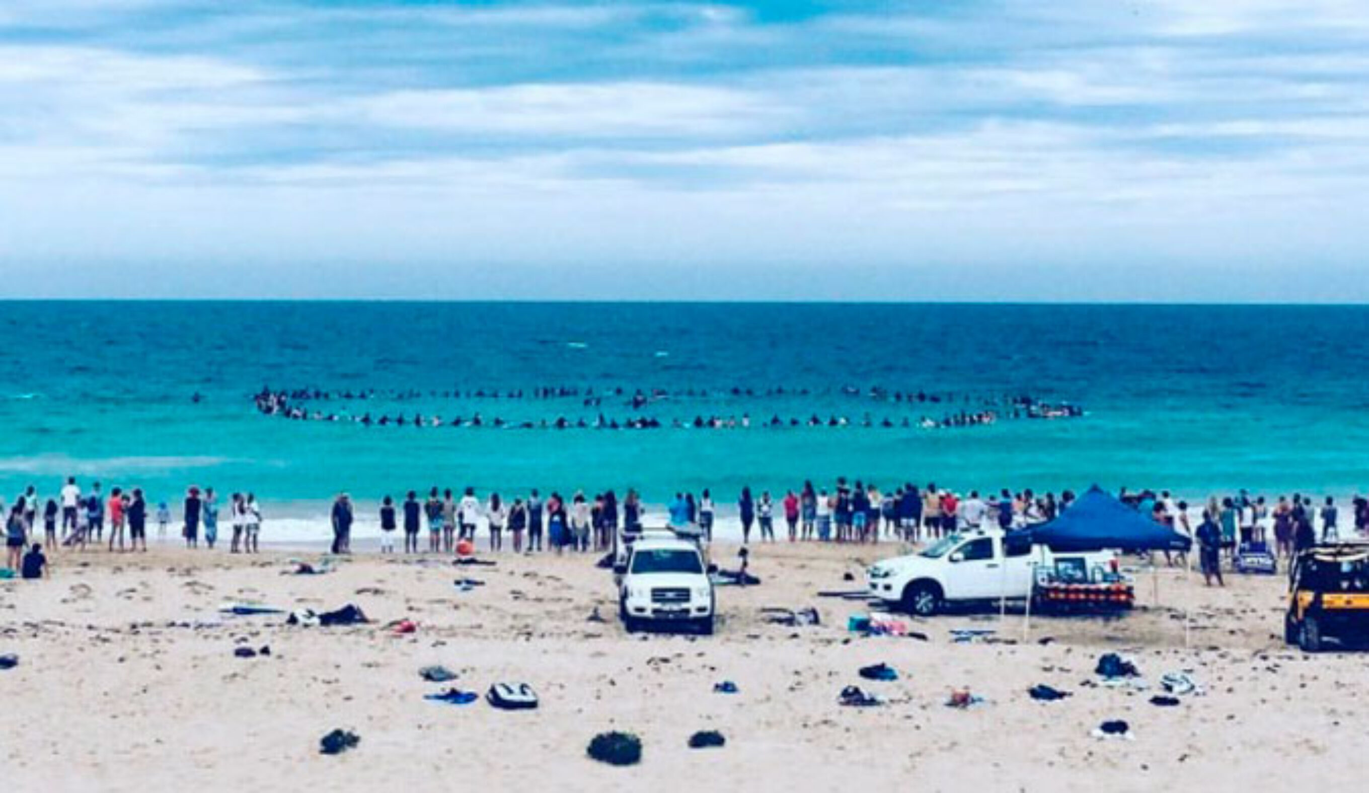 The huge paddle out held in honor of Adam Coleman and Dean Lucas. Photo: Emma Czislowski, Facebook