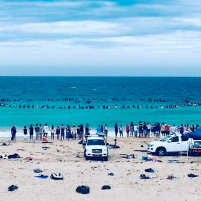 The huge paddle out held in honor of Adam Coleman and Dean Lucas. Photo: Emma Czislowski, Facebook