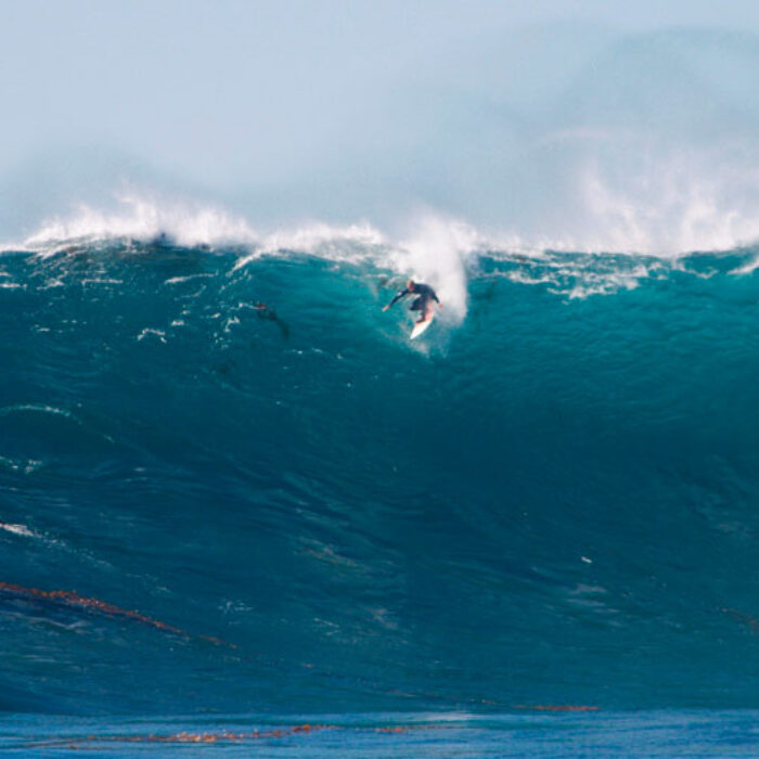 Todos Santos, November 2010. Photo: Tony Zacharek
