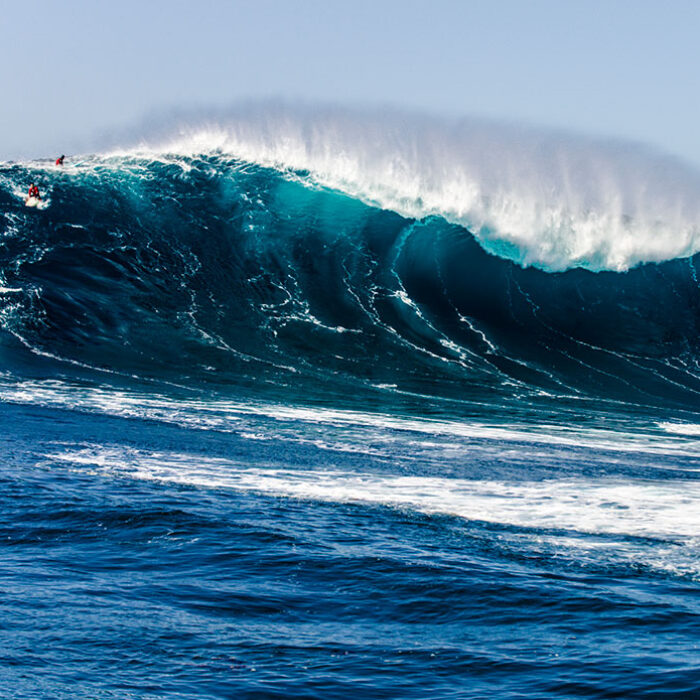 Todos Santos Delivers the Goods