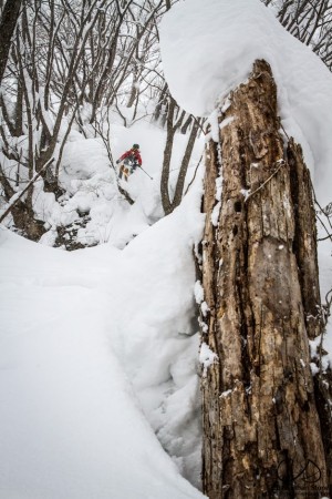 Copy of Tomashii-Tsugaike-Andy-6301