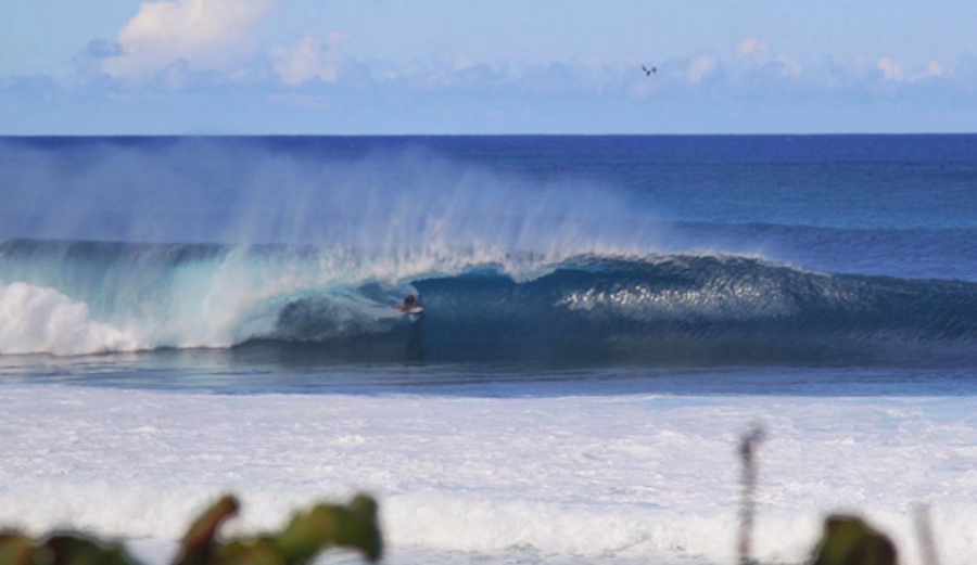 Jamie O'Brien gets a  perfect score in his Quarterfinal heat of the Volcom Pipe Pro. Photo: Zak Noyle / Red Bull