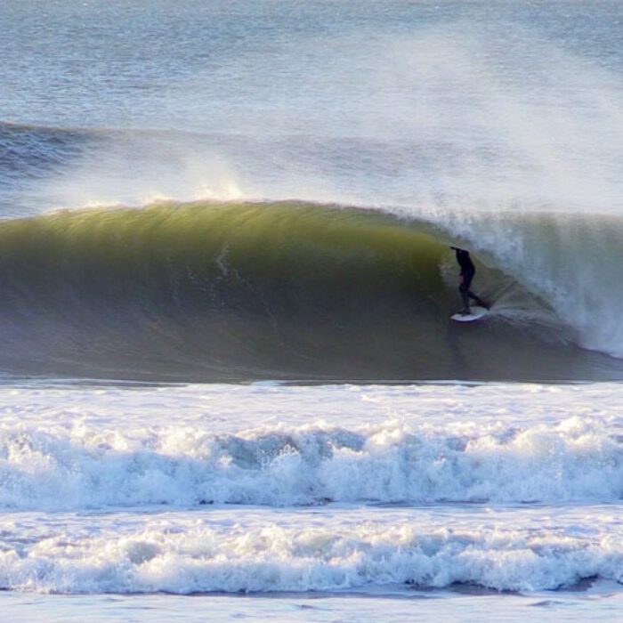 California Gold