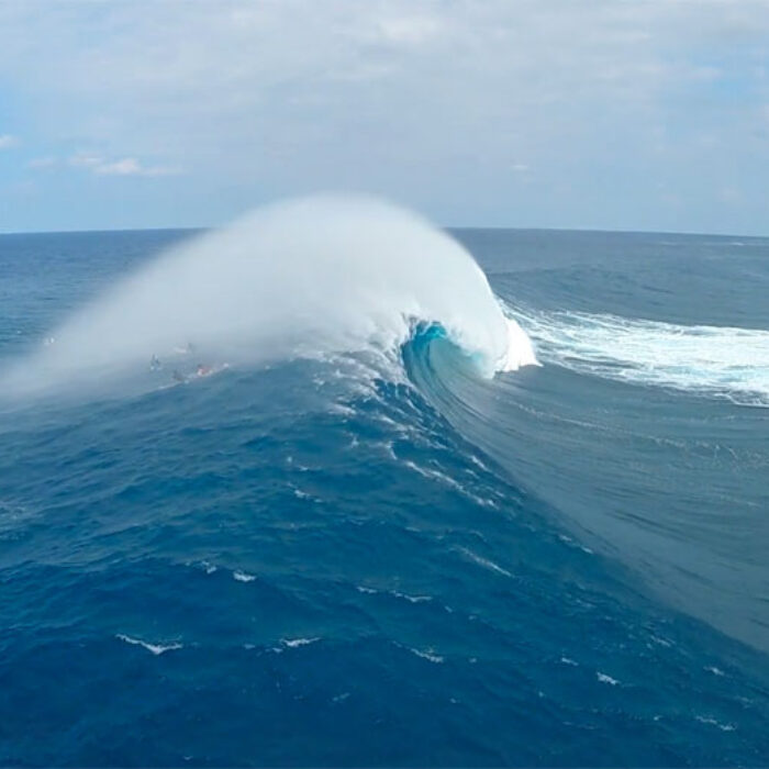 Jaws Drone