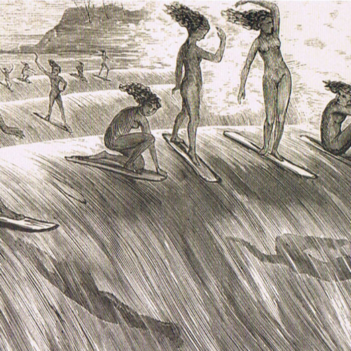 Would they like they direction surfing went?
